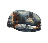 Polar Bear - Diadema elástica unisex para baloncesto, fitness, deportes, correr, ciclismo, yoga, absorbe el sudor