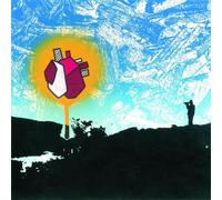 Polar Bear - In Each And Every One [Vinilo]