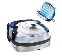 Polar Bear in Starry Sky-391 - Kit de primera menstruación para niñas, bolsa menstrual de tampón, soporte para almohadilla de lactancia con cremallera, organizador de servilletas sanitarias