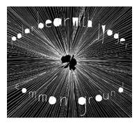 Polar Bear & Jyager - Common Ground