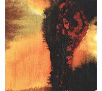 Polar Bear - Same As You