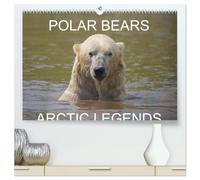 POLAR BEARS - ARCTIC LEGENDS (High Quality Premium Wall Calendar 2027 DIN A2 landscape),CALVENDO 12 Month Wall Calendar: 2 Male Polar Bears compete in a test of strength.