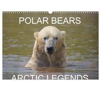 POLAR BEARS - ARCTIC LEGENDS (Wall Calendar 2027 DIN A3 landscape), CALVENDO 12 Month Wall Calendar: 2 Male Polar Bears compete in a test of strength.