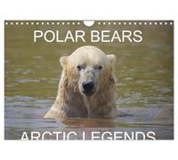 POLAR BEARS - ARCTIC LEGENDS (Wall Calendar 2027 DIN A4 landscape), CALVENDO 12 Month Wall Calendar: 2 Male Polar Bears compete in a test of strength.
