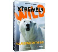 Polar Bears on the Run [USA] [DVD]