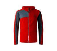 Polar infantil Dare 2B Thriving IV 11/12 ans Unisex