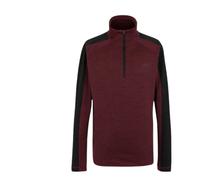 Polar marrón REGATTA Hepley MARRON-HOMBRE RMA657-ZR0-