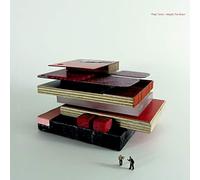 Polar Twins - Maybe the Moon [Vinilo]