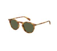 Gafas de Sol POLAROID PLD 2086/S 086 HAVANA 47/23/145 Hombre