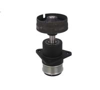 Polea, alternador INA 535 0157 10 FORD S-MAX (WA6) 1.8 2006-2014