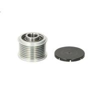 Polea, alternador INA 535 0254 10 para BMW X5 (E70) 3 2006-2008
