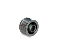 Polea, alternador INA 535 0344 10 para RENAULT DUSTER (HM_) 1.6 2019-2024