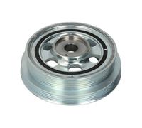 Polea, cigüeñal DAYCO DPV1033 para PEUGEOT BOXER Autobús 3 2006-2015
