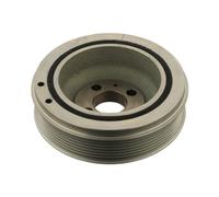 FEBI BILSTEIN 30171 Polea de cigüeñal