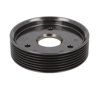 Polea de correa, servobomba HUTCHINSON P2008