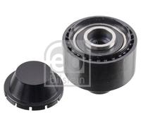 Polea de desvío/transmisión, correa trapezoidal con nervios FEBI BILSTEIN 22349