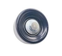 polea de repuesto Rodillo tensor de correa LAND PARA ROVER PARA RANGE PARA PARA SPORT 2010-2013 LR016138 arreglar