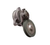 Polea de Tensor de la Correa 04152510 0415 2510 Compatible con Deutz F4L912 F3L912 Motor Adecuado para Correas Soportes de poleas y componentes del Motor Reemplazo de Piezas de Desgaste