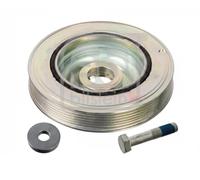 FEBI BILSTEIN 175317 Polea de cigüeñal