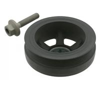 FEBI BILSTEIN Polea, cigÃŒeÃ±al para MERCEDES-BENZ: Classe E, Classe C, Classe CLK, Classe ML, Vito, 129 Series, Classe R, Classe G (Ref: 33656)