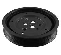 Polea del cigüeñal 80001806 CORTECO para FORD LAND ROVER