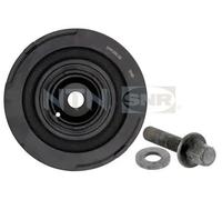 Polea del cigüeñal DPF350.05K1 SNR para ROVER LAND ROVER