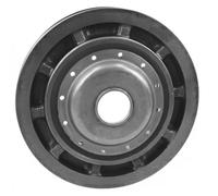 Polea del cigüeñal DPV1060 DAYCO para RENAULT CLIO II CLIO III