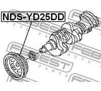FEBEST Polea, cigÃŒeÃ±al para NISSAN: Navara, Pathfinder, Cabstar, NT400 (Ref: NDS-YD25DD)