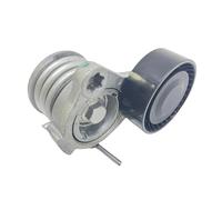 Polea Guía Rodillos Conjunto De Polea Tensora Correa Para Chevrolet Para Captiva 2006-2017 Para Cruze F556587 96440419 10251000B01 534035310 4805513