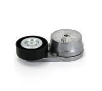 Polea Guía Rodillos OEM 12627119 25201166 Tensor Correa Para Buick Para Chevrolet Para Opel Para Cadillac Para GMC