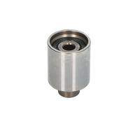 Polea inversión/guía, correa de distribución SKF VKM 88008