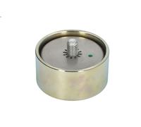 Polea inversión/guía, correa poli V DAYCO APV1086 para LF 55 3.92 2001-2006