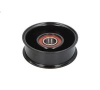 Polea inversión/guía, correa poli V INA para XJ (X350, X358) 4.2 2003-