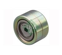 Polea Inversión/guía Correa Poli V Schaeffler Ina 532 0412 10 para Man Neoplan