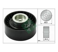 Polea Inversión/guía Correa Poli V Schaeffler Ina 532 0470 10 para Citroën Fiat