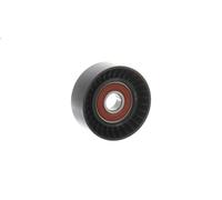 Polea inversión/guía, correa poli V SKF para CRAFTER 30-50 Furgoneta 2.5 2006-