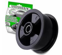 Polea Tensor de Correa Secadora 1250125034 para Aeg para Electrolux | 125012503/4 para Juno para Zanker para Zanussi - Garantía de 5 Años - ONIX TECH