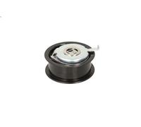 Polea tensora, correa dentada INA 531 0251 30 para VW VENTO (1H2) 1.9 1996-1998