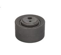 Polea tensora, correa dentada INA 531 0257 10 para BOXER Furgoneta 2.5 1997-2002