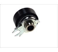 Polea tensora, correa dentada INA 531 0525 30 para VW POLO (6N2) 1 1999-2001