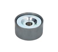 Polea tensora, correa poli V DAYCO APV1092