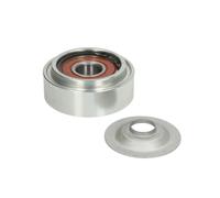 Polea tensora, correa poli V DAYCO APV2399