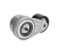Polea tensora, correa poli V GATES T38504