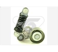 Polea tensora, correa poli V HUTCHINSON T1009 para XSARA (N1) 1.6 2000-2005