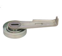 Polea tensora, correa poli V INA 531 0096 1 para CITROEN XM (Y3) 2 1989-1994