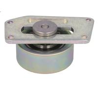 Polea tensora, correa poli V INA 531 0306 10 PEUGEOT 206 Van 1.1 2002-2007