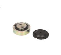 Polea tensora, correa poli V INA 531 0307 10 para AUDI A4 B6 (8E2) 2.5 2000-2004