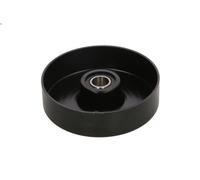 Polea tensora, correa poli V INA 531 0551 20 SSANGYONG KYRON 2.3 2010-2014