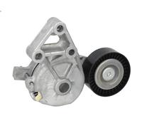 Polea tensora, correa poli V SKF VKM 31019 para VW BORA I (1J2) 1.9 1998-2002