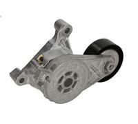 Polea tensora, correa poli V SKF VKM 31022 para AUDI A3 (8P1) 2 2003-2012